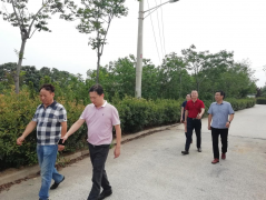 【鄭投產(chǎn)業(yè)園要聞】約克動漫一行赴虎牢關(guān)實地參觀，推進公司文創(chuàng)板塊發(fā)展